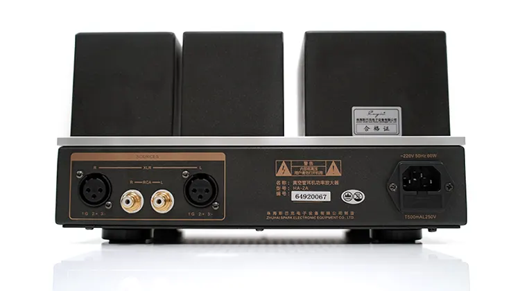 Cayin HA-2A rear panel
